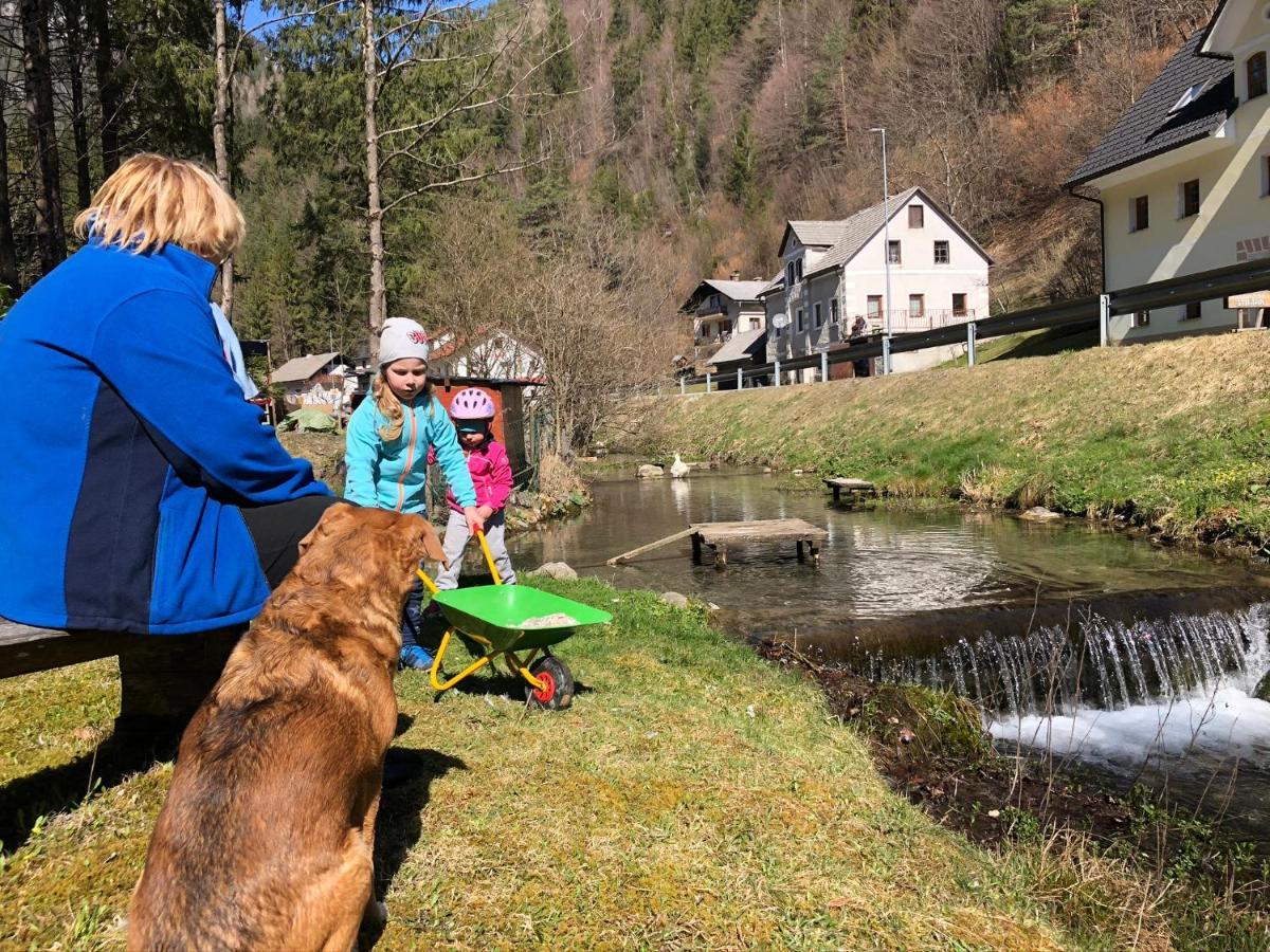Farmhouse Stiftar Solčava Eksteriør bilde